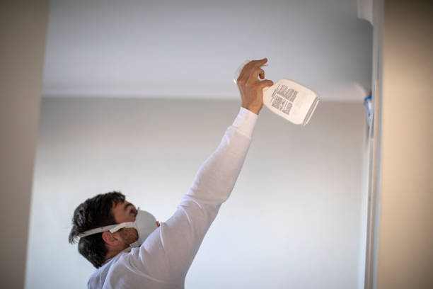 Best Mold Testing  in Mount Sterling, IL