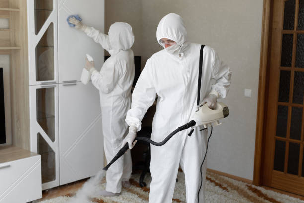 Best Attic Mold Removal  in Mount Sterling, IL