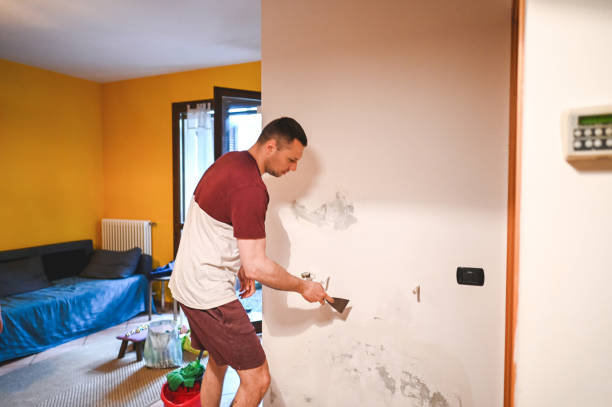 Best Mold Testing  in Mount Sterling, IL